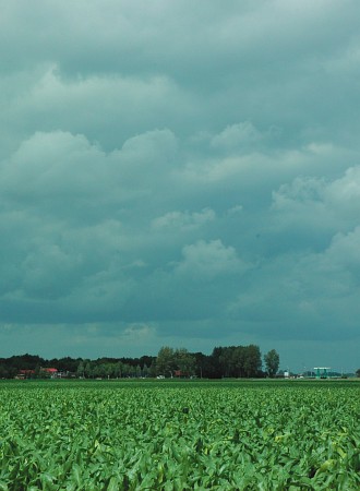 Tollebeek